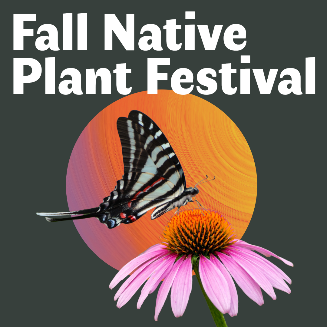 Fall Native Plant Festival