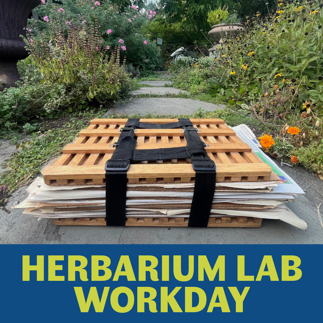 Herbarium Lab Workday