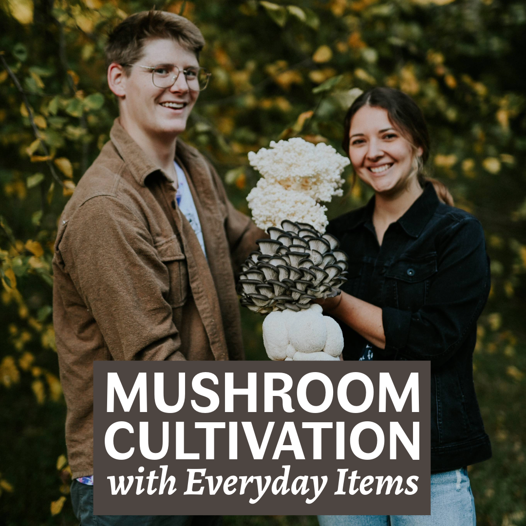 Mushroom Cultivation with Everyday Items