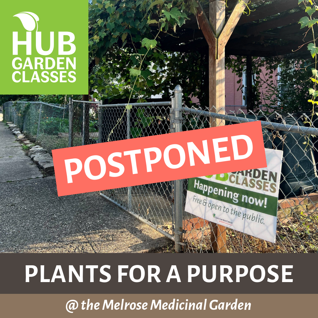 POSTPONED - HUB Garden Class: Plants for a Purpose