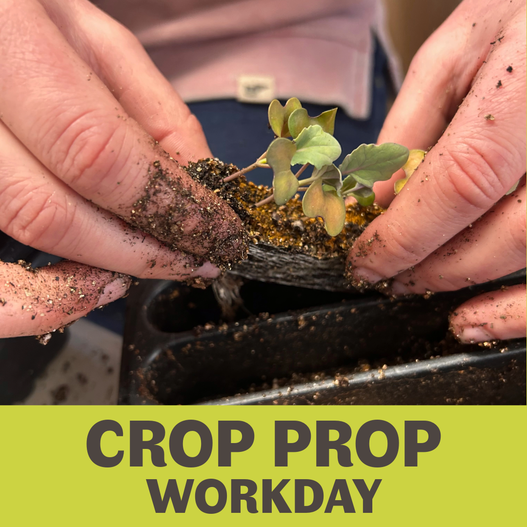 Crop Prop Workday