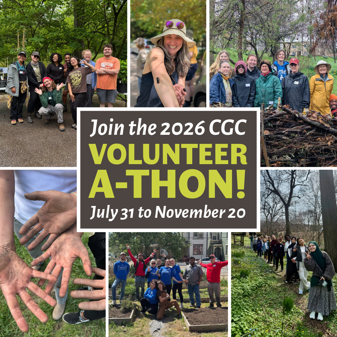 The 2026 Volunteer-A-Thon Begins!