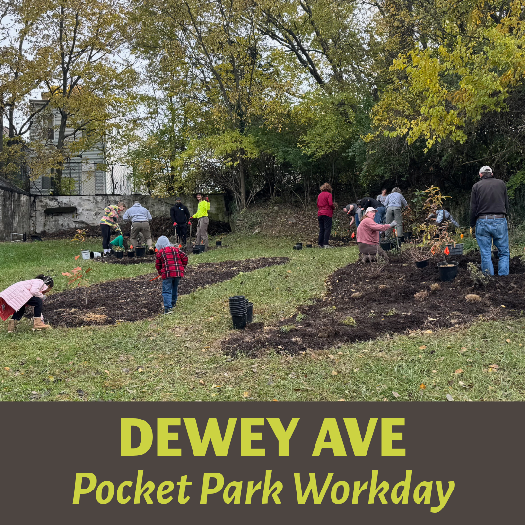 Dewey Ave Pocket Park Workday