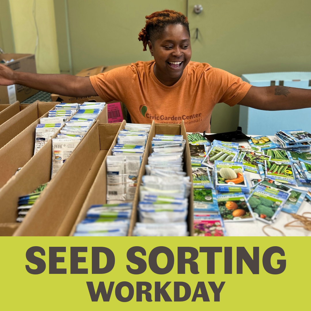 Seed Sorting Workday