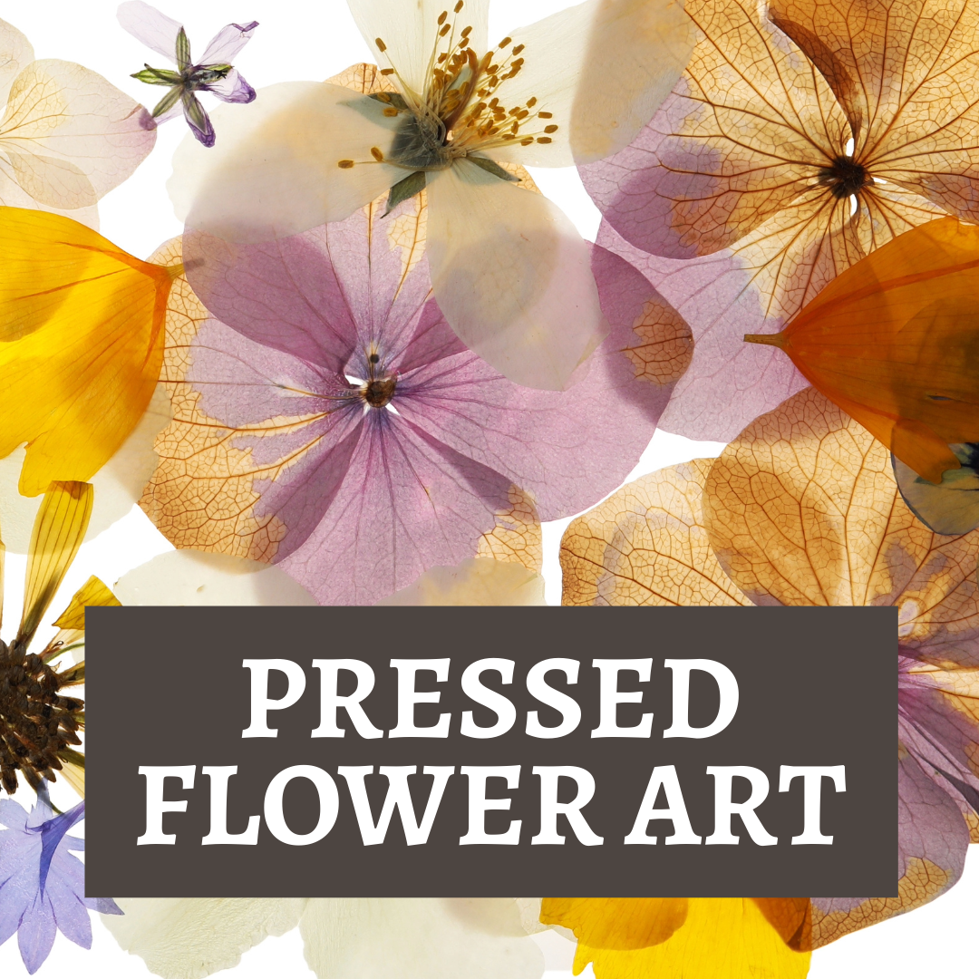 Pressed Flower Art