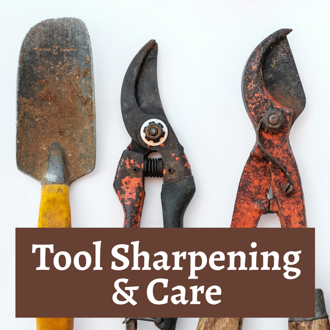 Tool Sharpening & Care