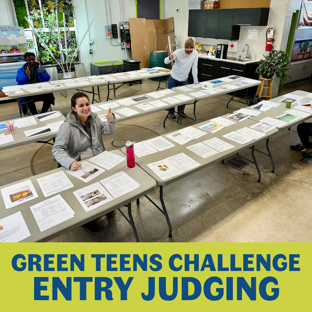 Green Teens Challenge Entry Judging