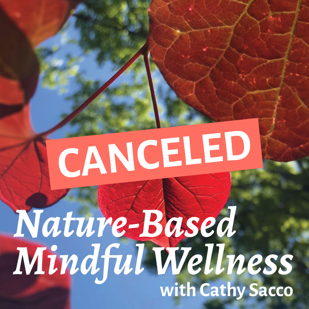 CANCELED: Nature-Based Mindful Wellness