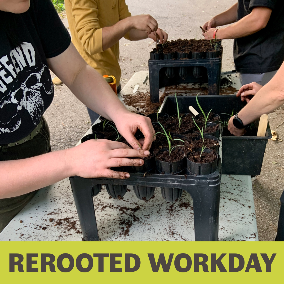 ReRooted Propagation Workday