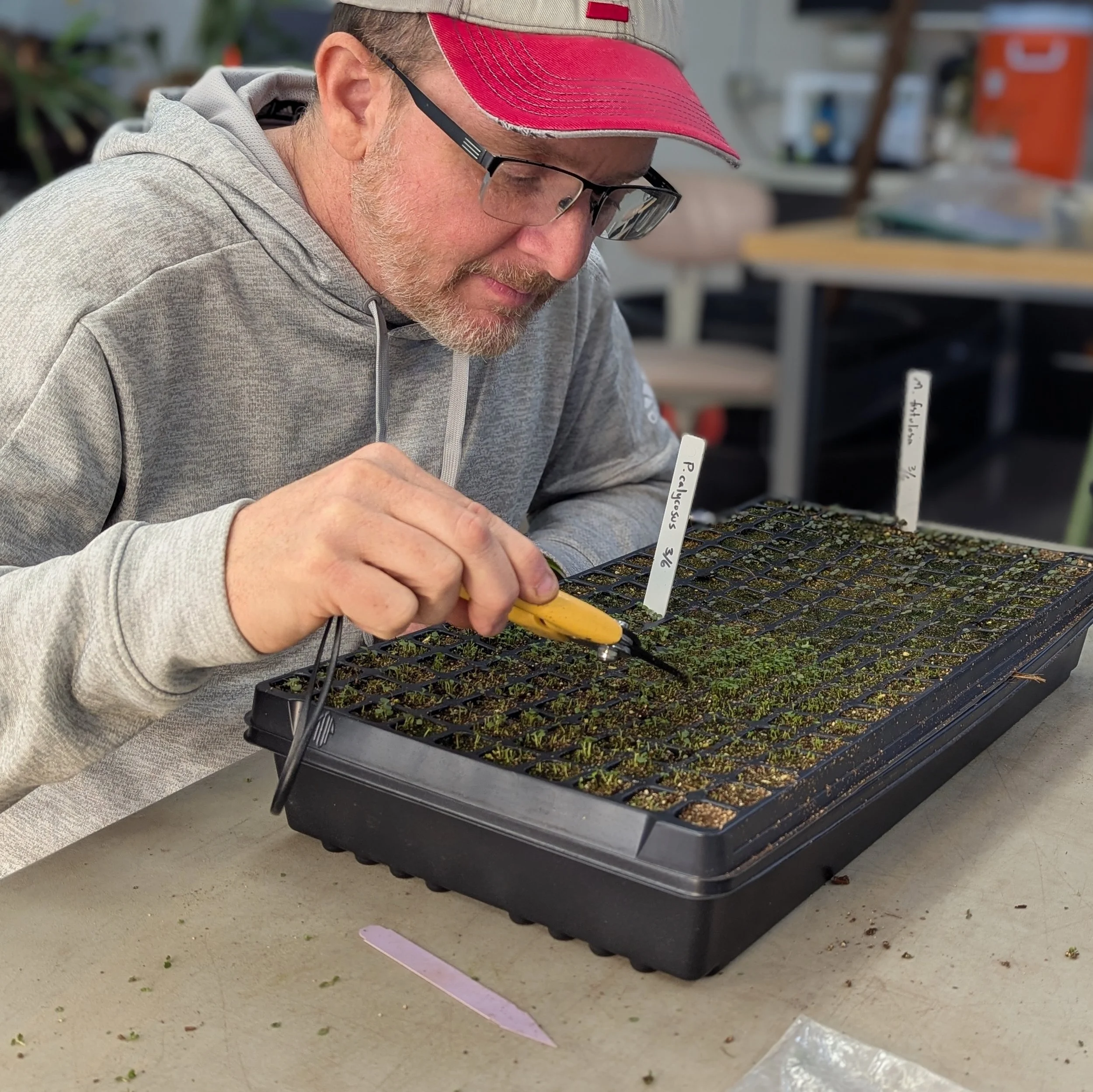 Adventures in Native Plant Propagation