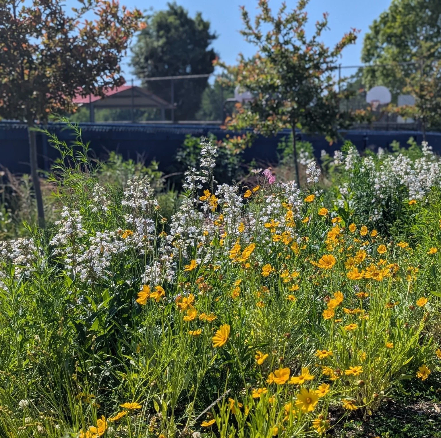 Pollinator Partnership Potential