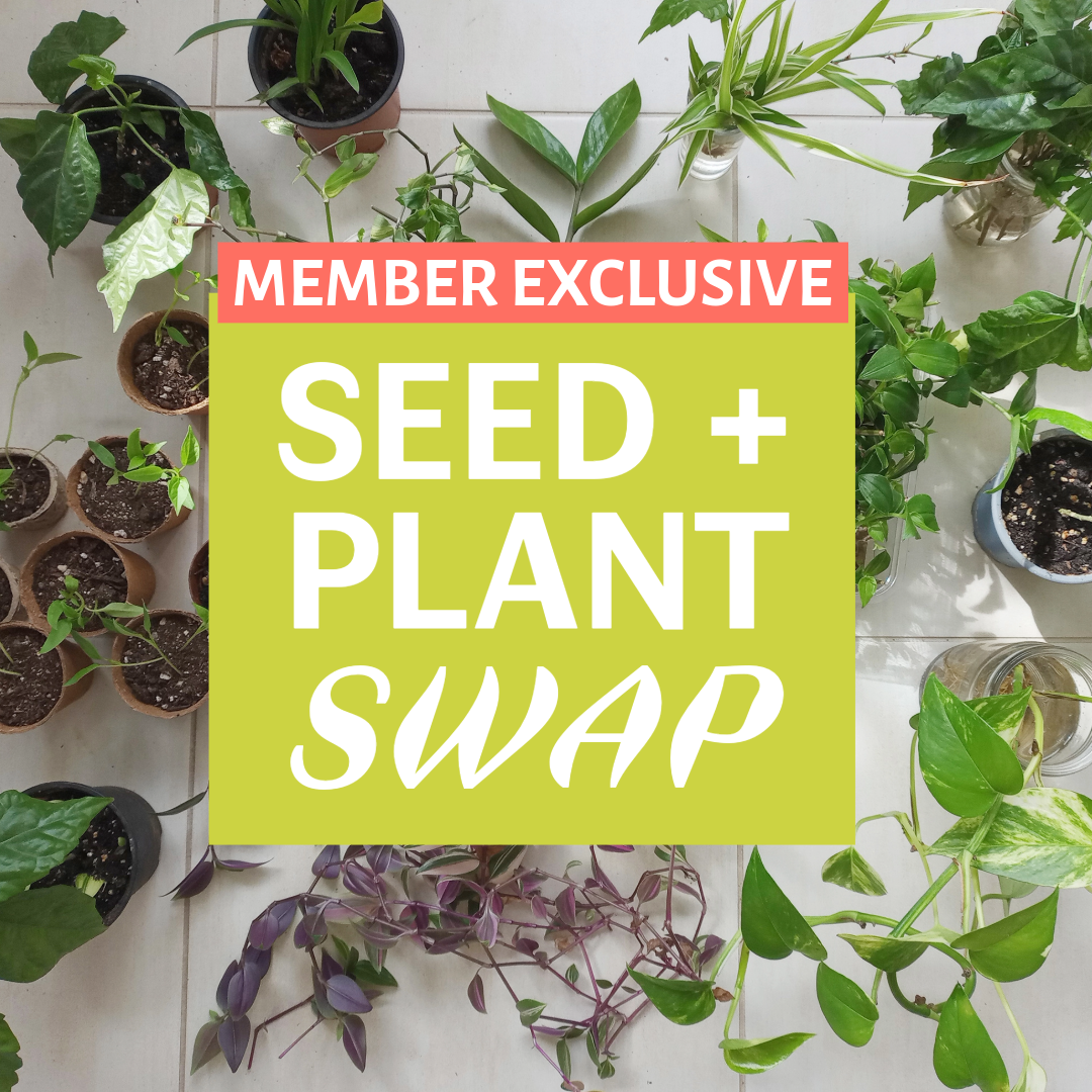 Seed + Plant Swap