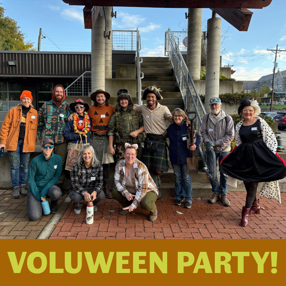 Voluween Party!