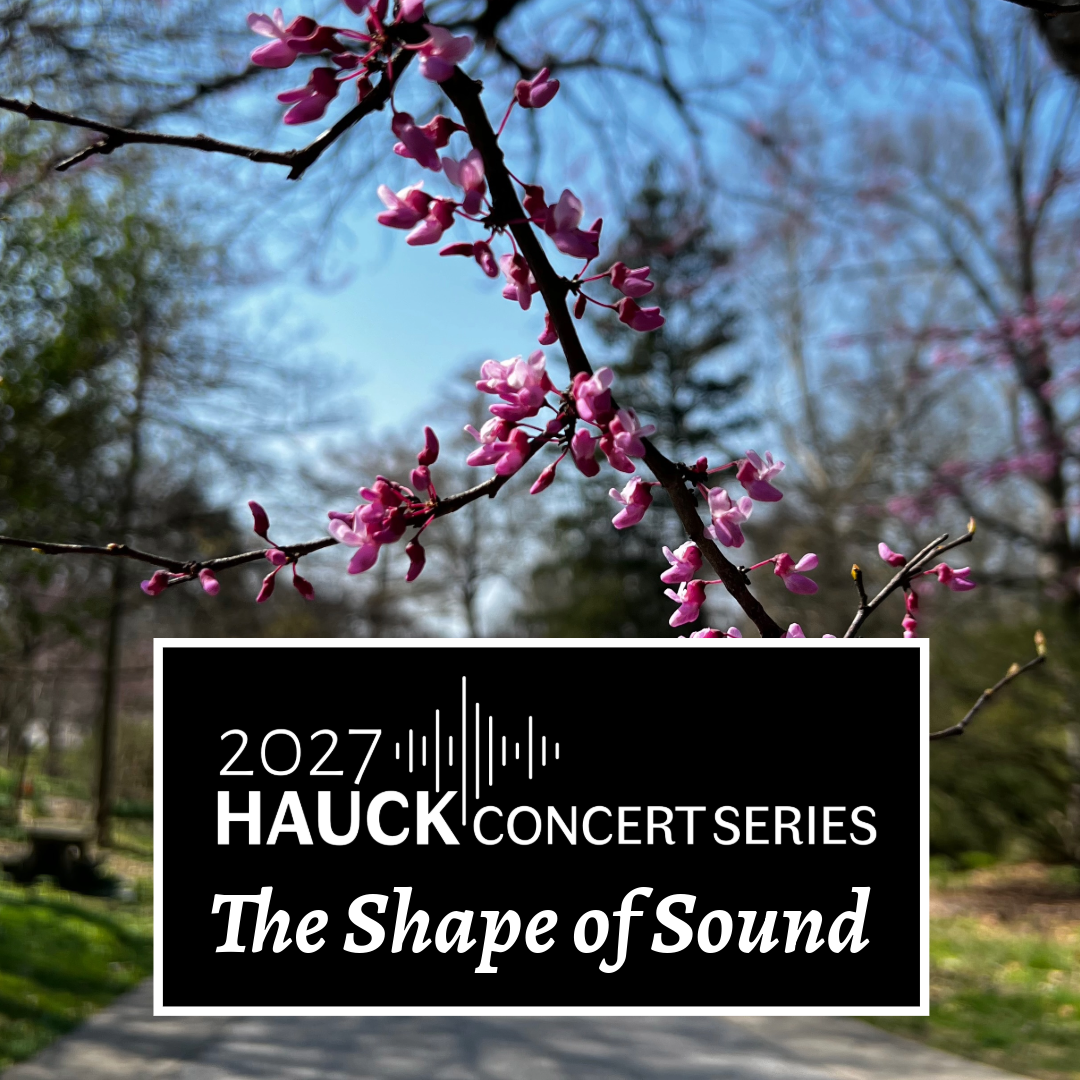 Hauck Concert Series: The Shape of Sound