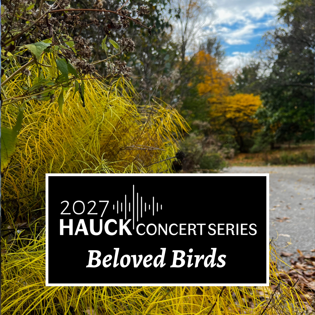 Hauck Concert Series: Beloved Birds