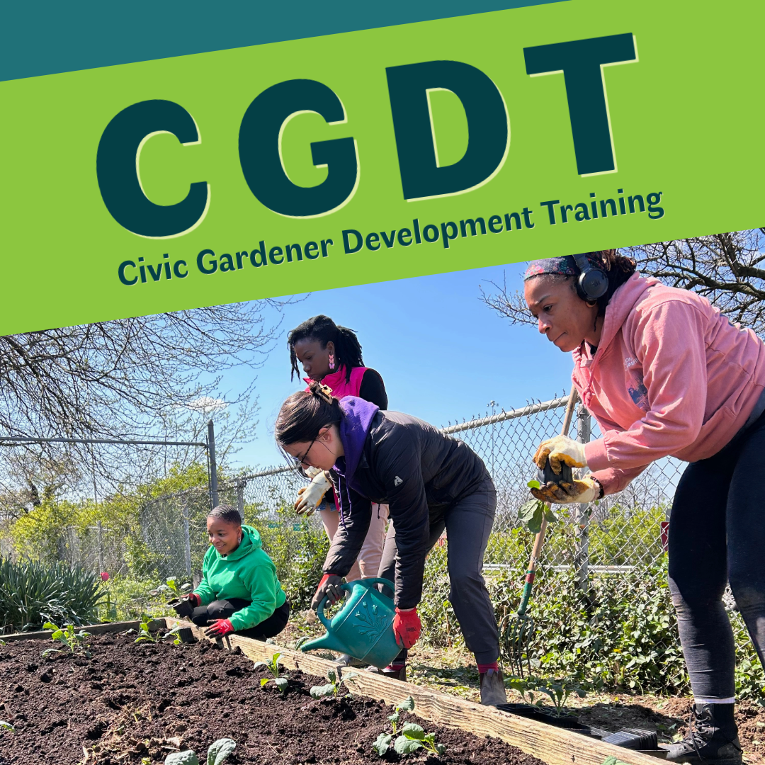 CGDT Begins