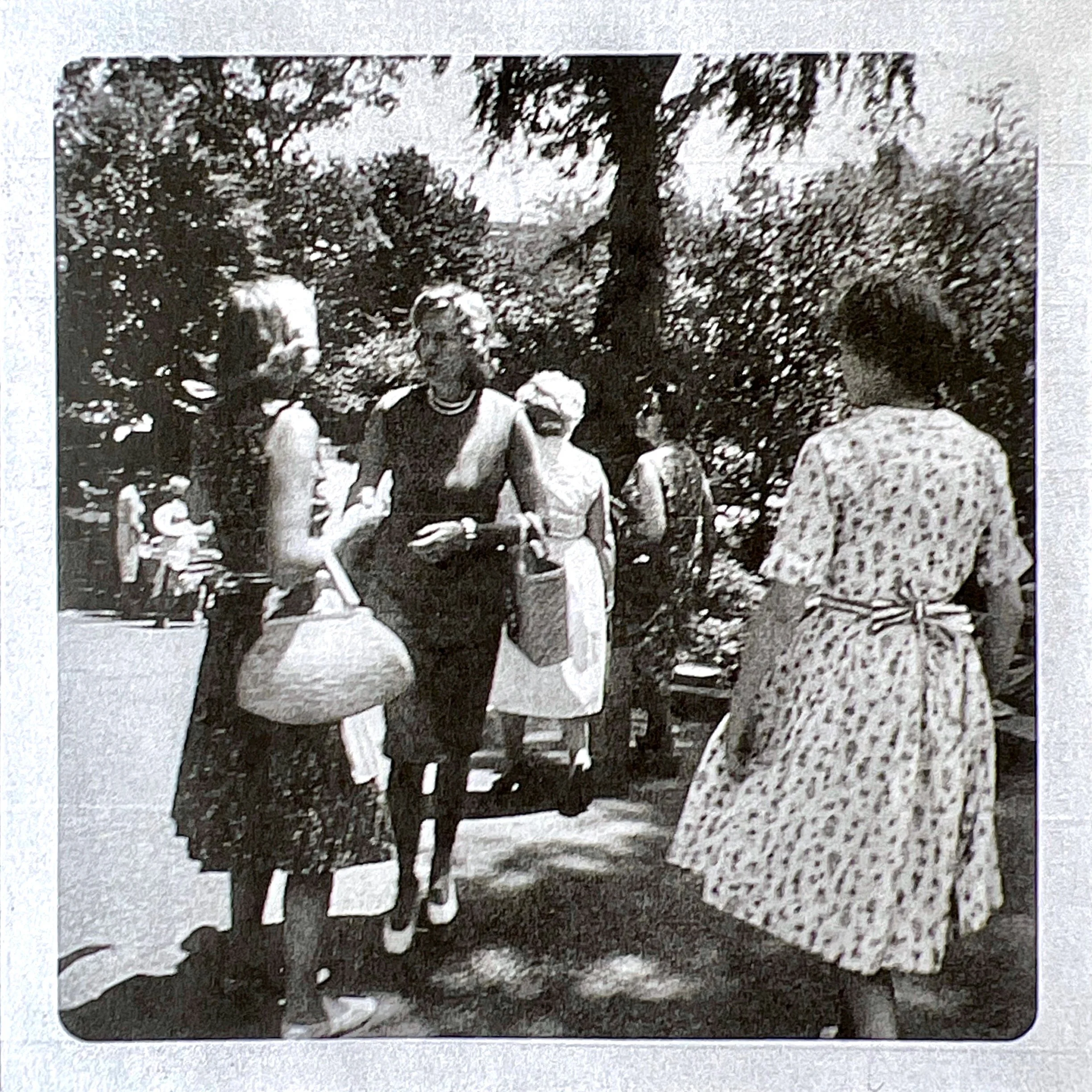 2023-04-26 11-15.jpeg