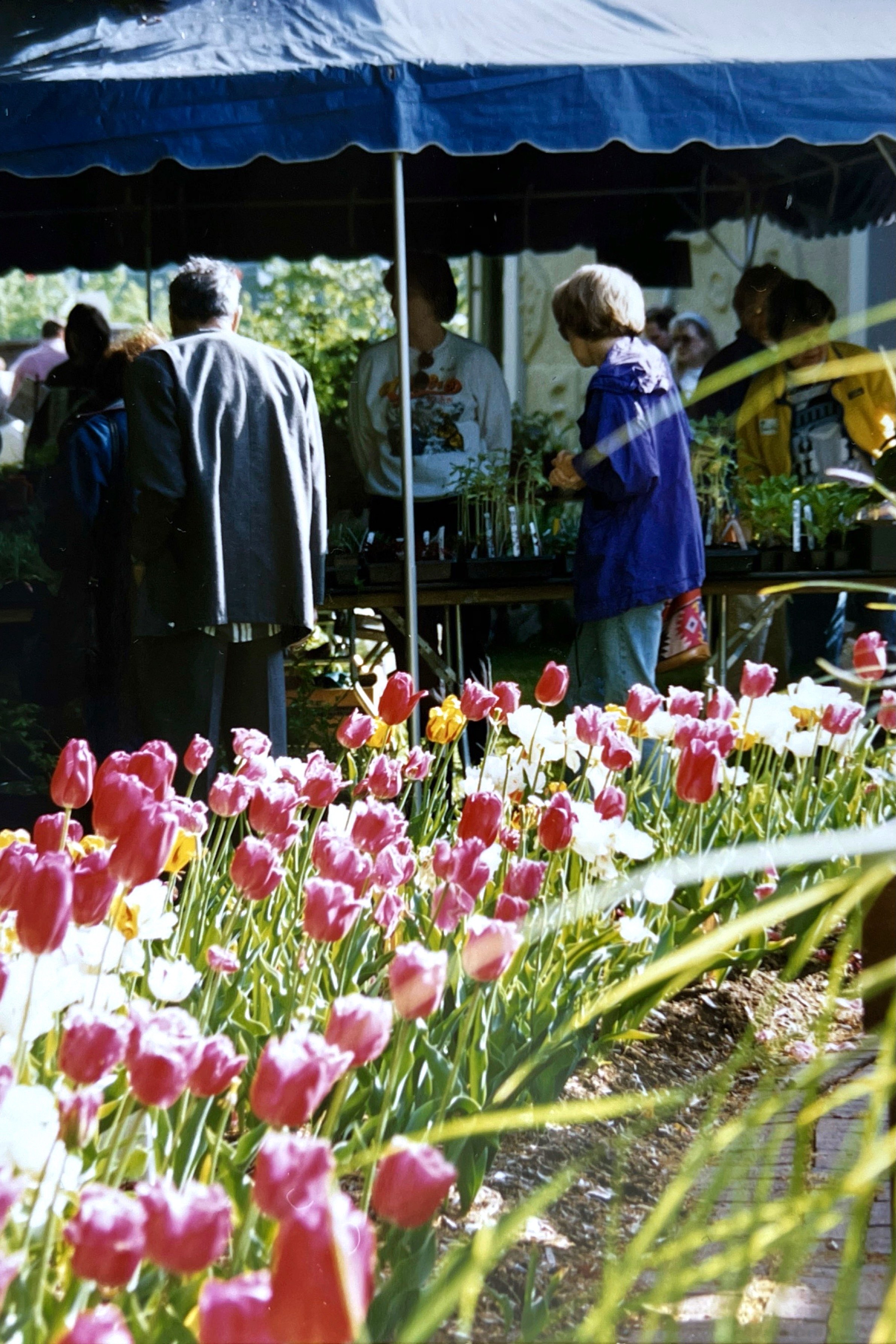 2023-04-26 11-06.jpeg