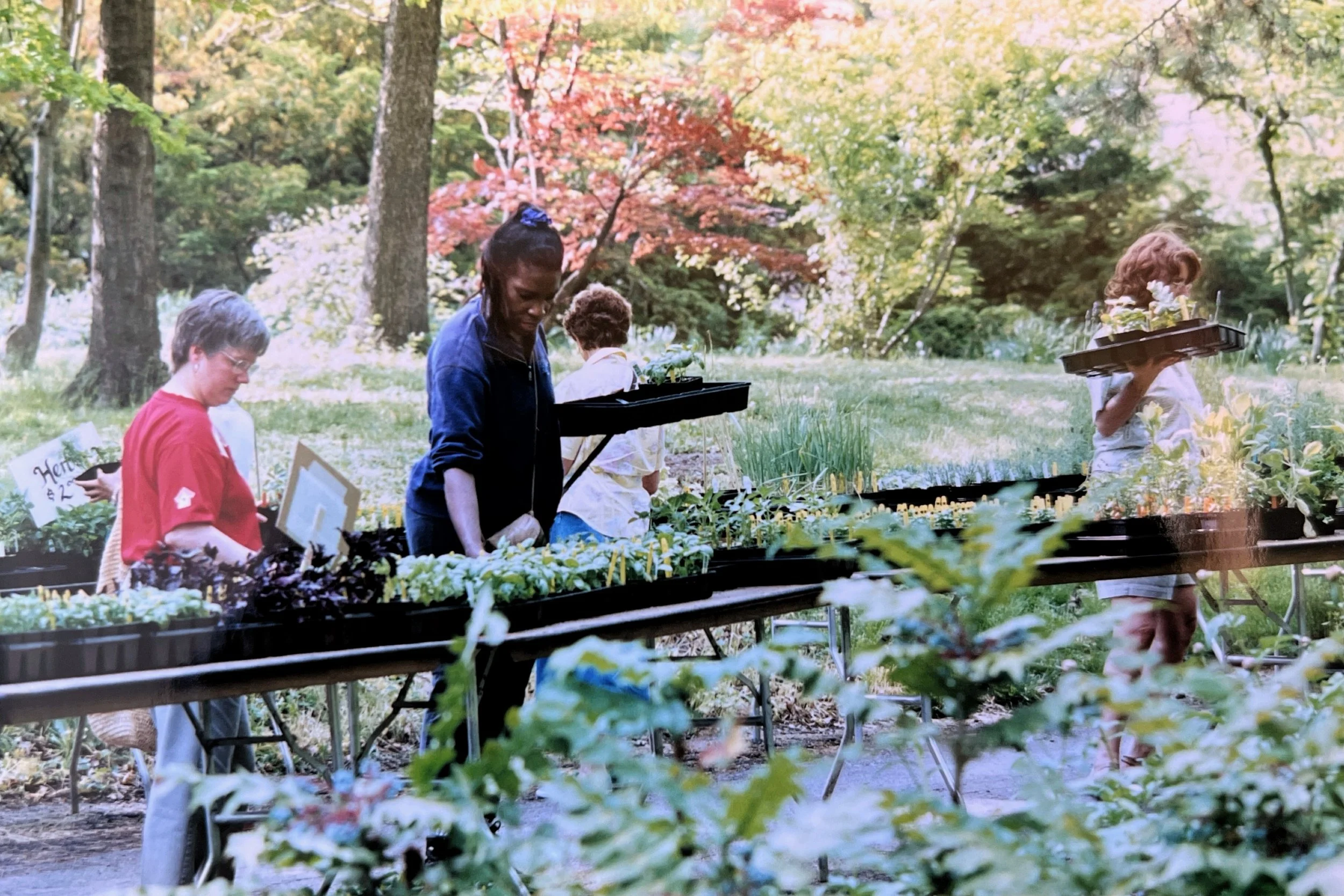 2023-04-26 13-10.jpeg