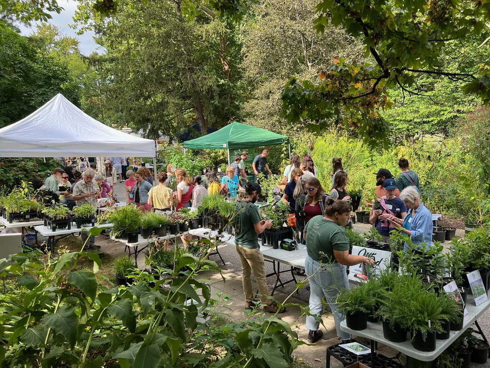 Fall Native Plant Festival — Civic Garden Center of Greater Cincinnati