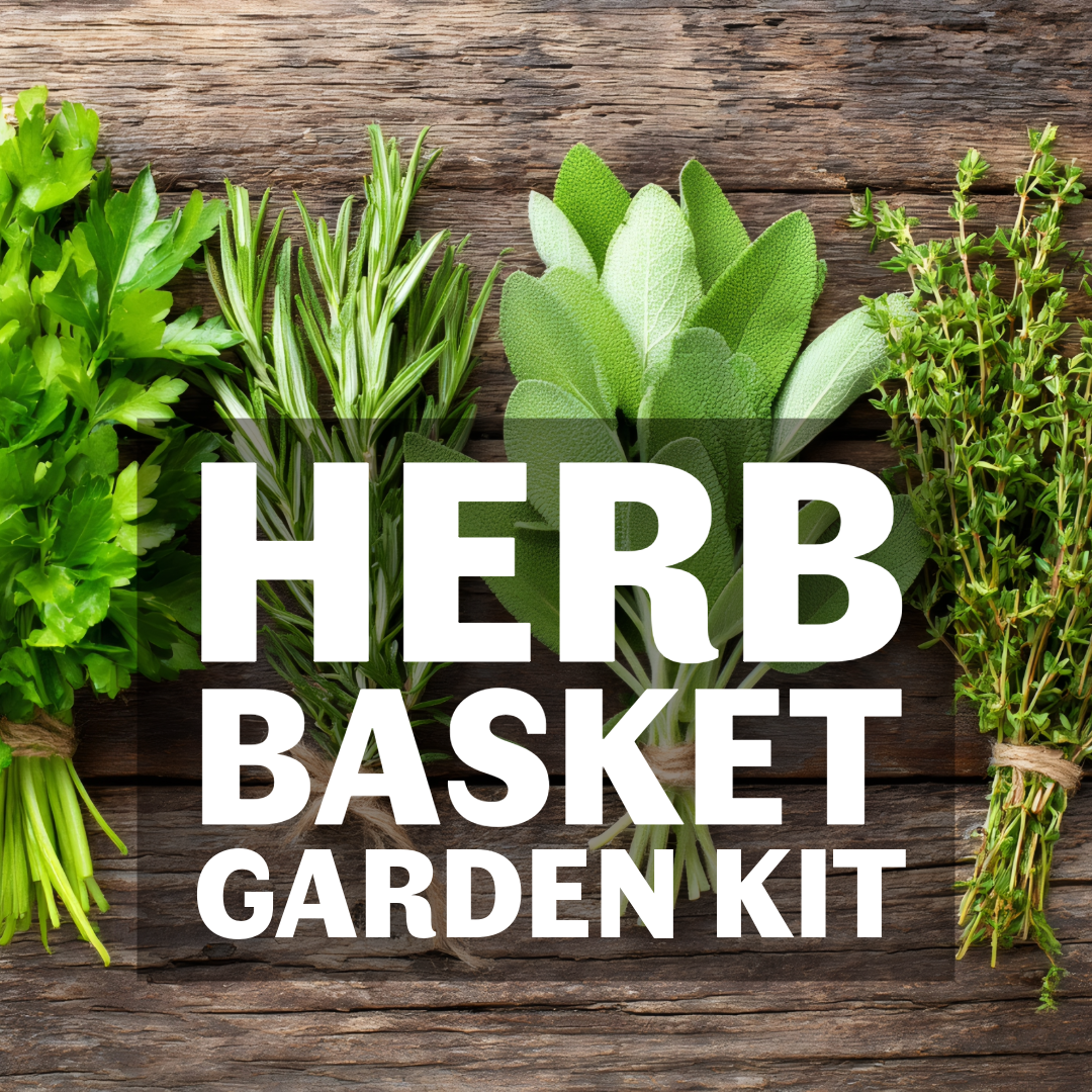 Site_ Herb Basket Garden Kit.png