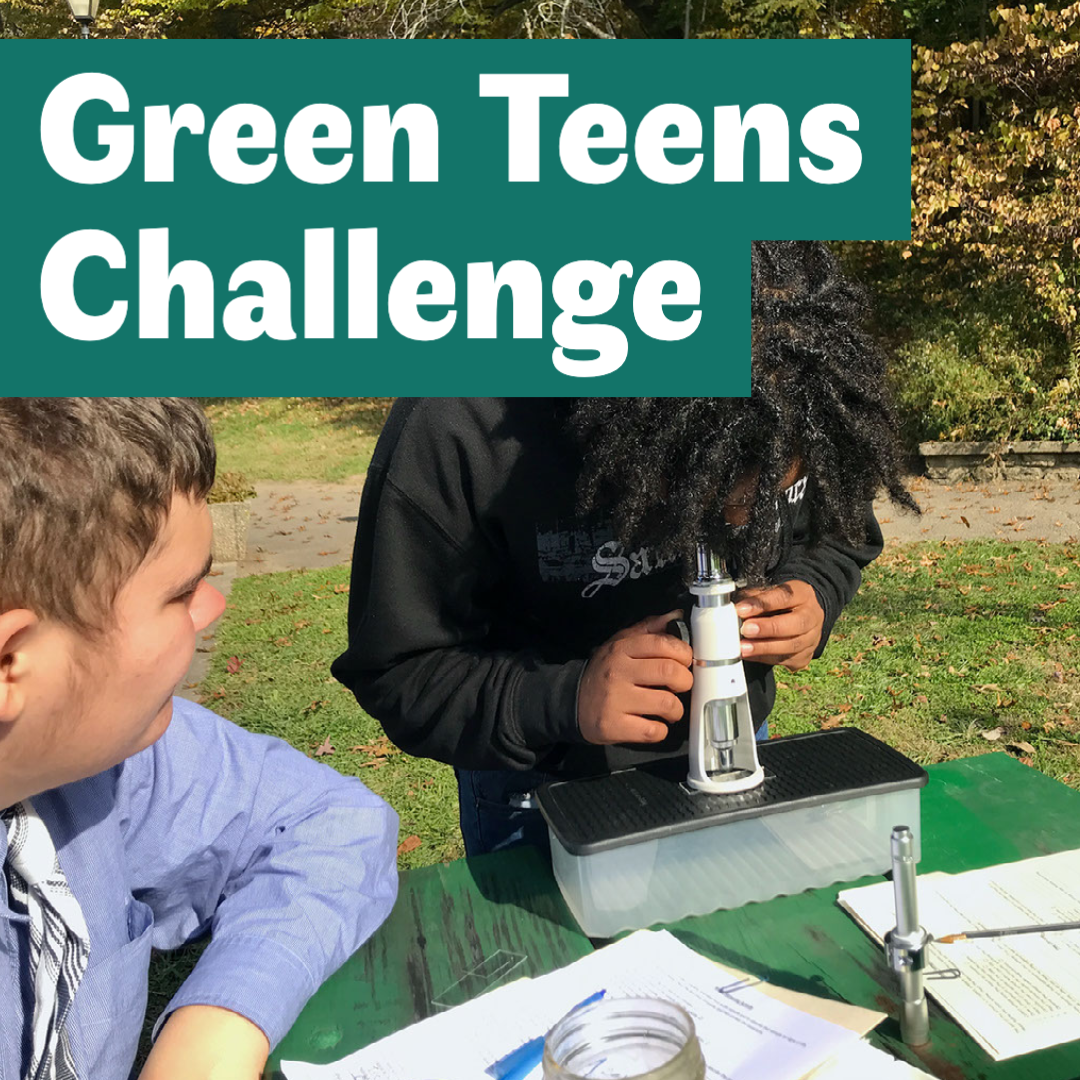 Green Teens — Civic Garden Center of Greater Cincinnati