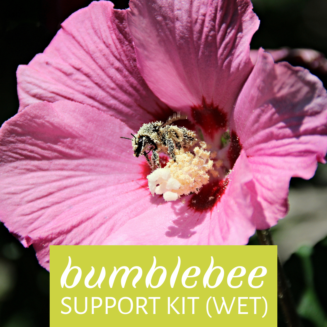 Bumblebee Support Kit (Wet)