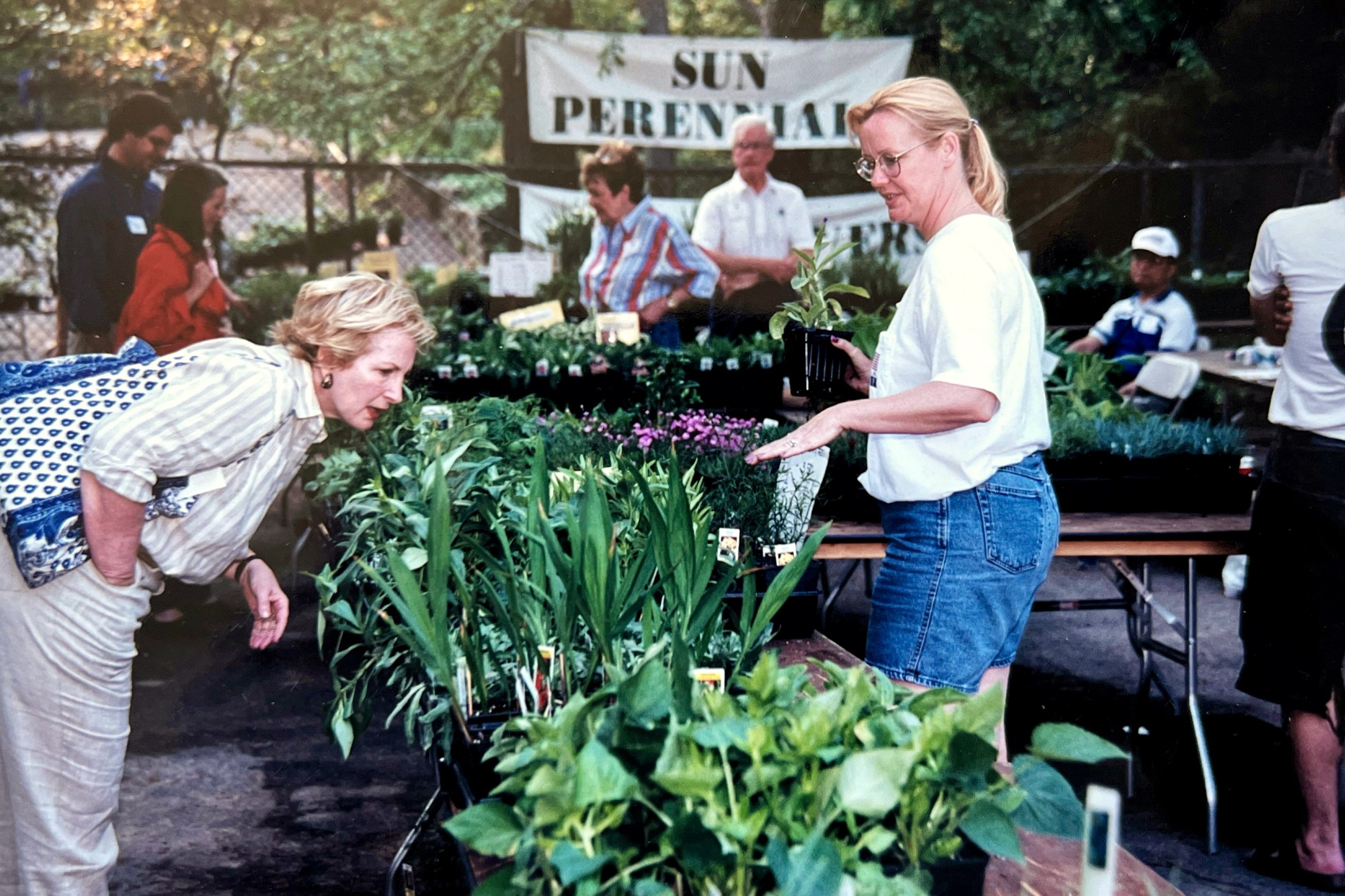 2023-04-26 13-15.jpeg