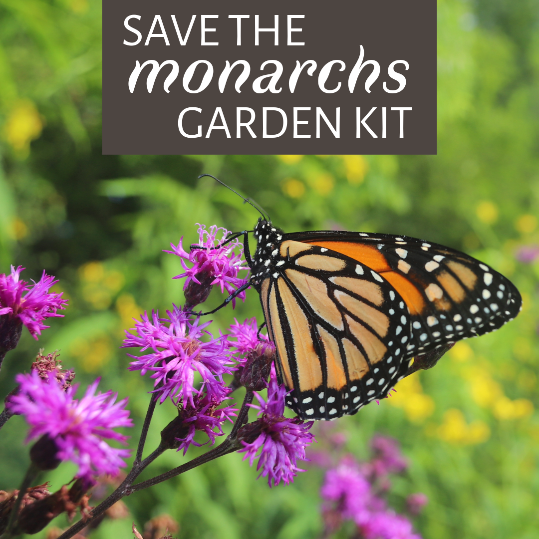 Save the Monarchs Garden Kit