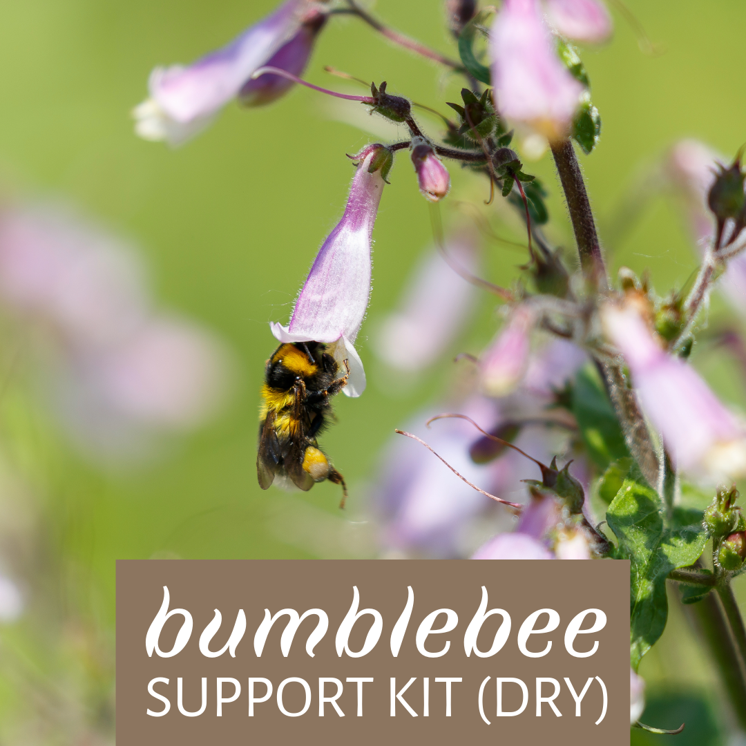 Bumblebee Support Kit (Dry)