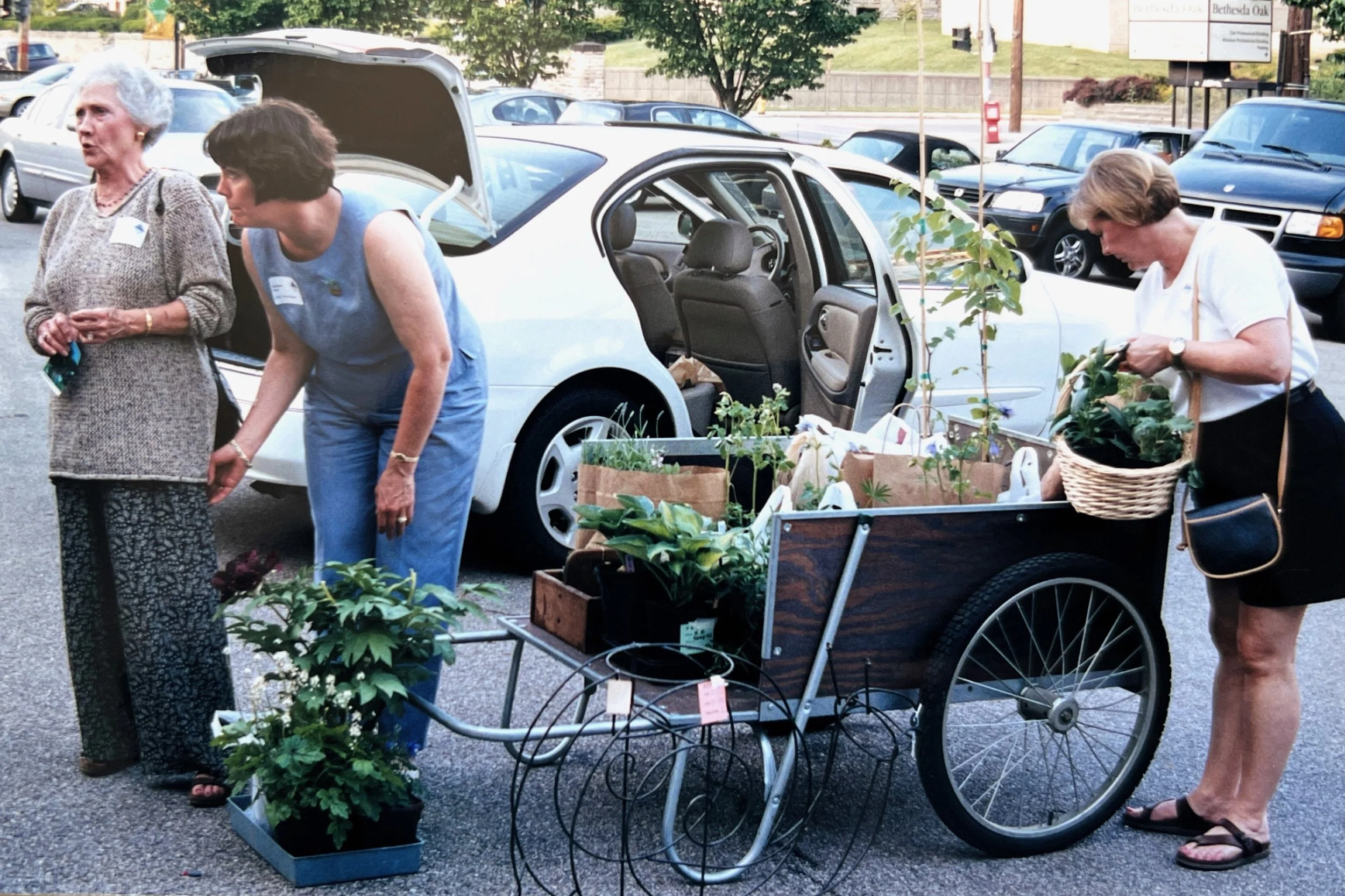 2023-04-26 13-13.jpeg