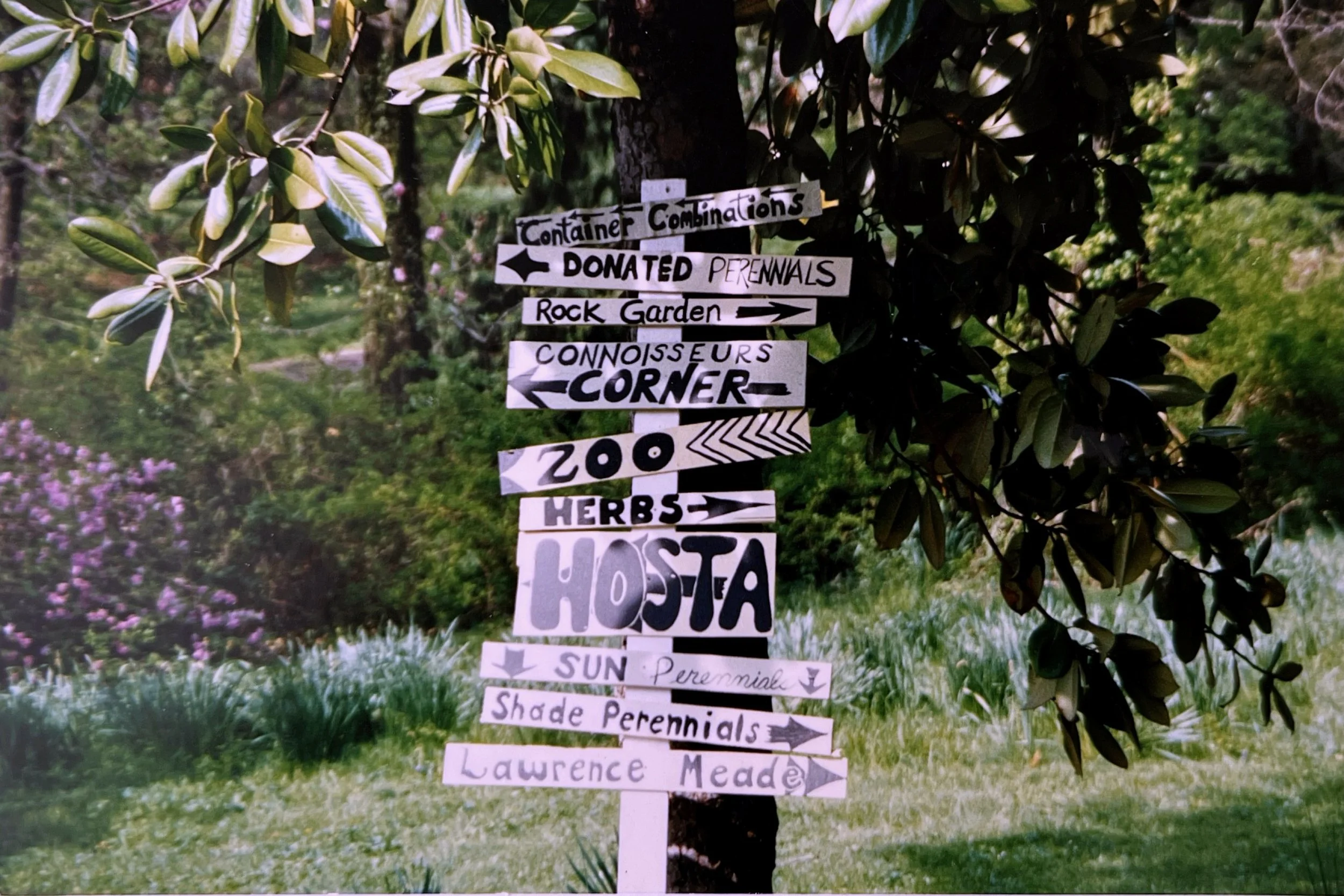 2023-04-26 11-14.jpeg