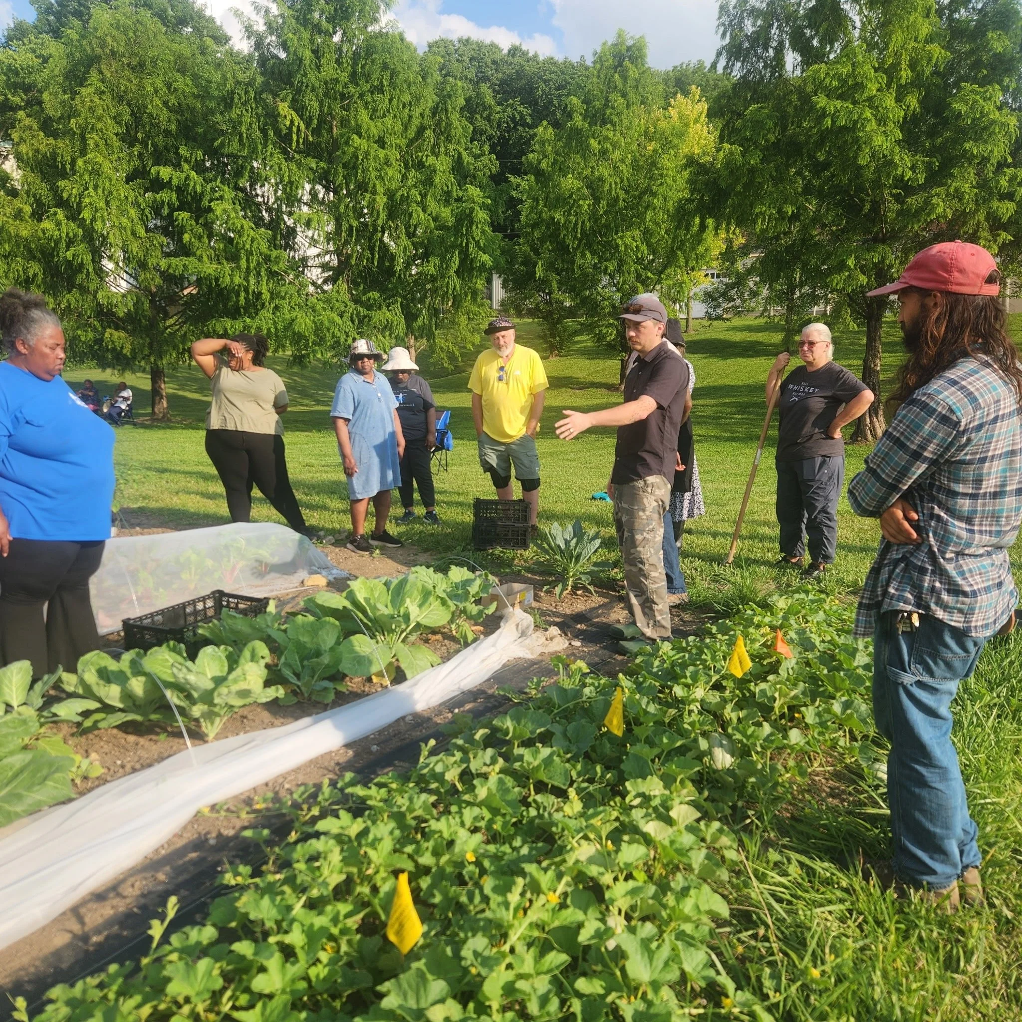 Growing at CUF