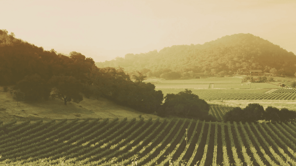 Lowell Farm Services