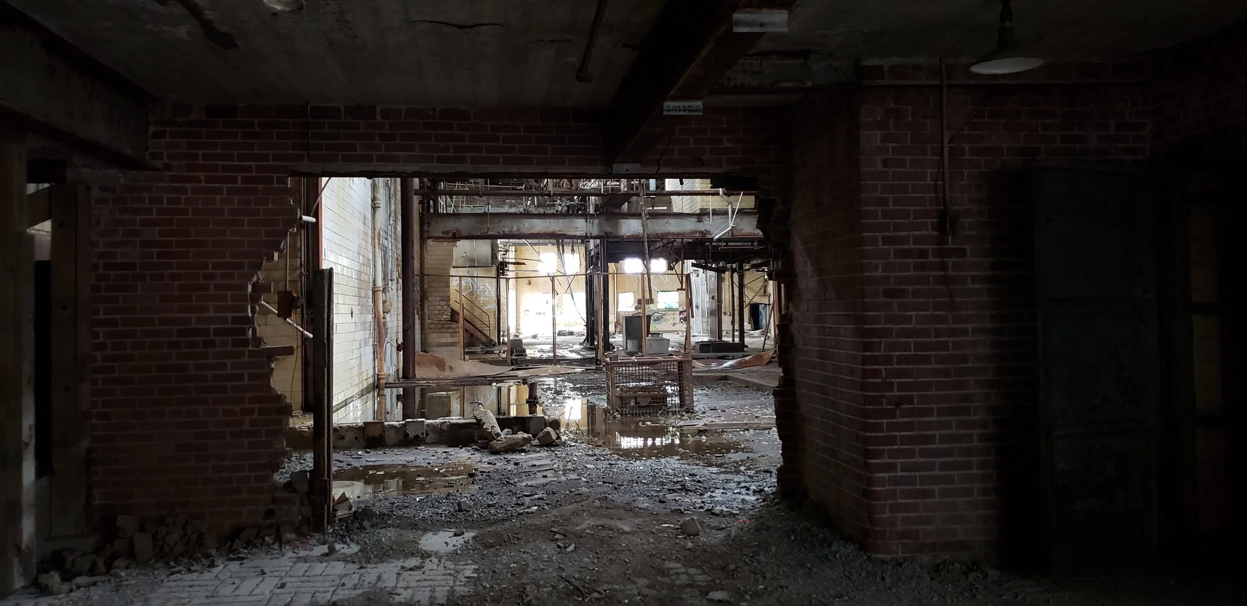 20181113_100726 copy.jpg