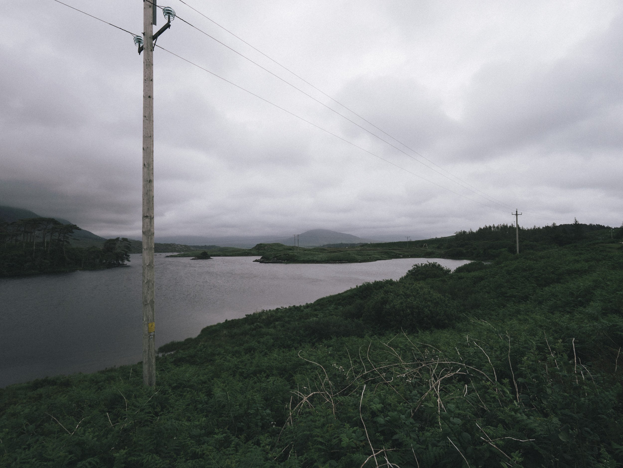 P1148954.jpg