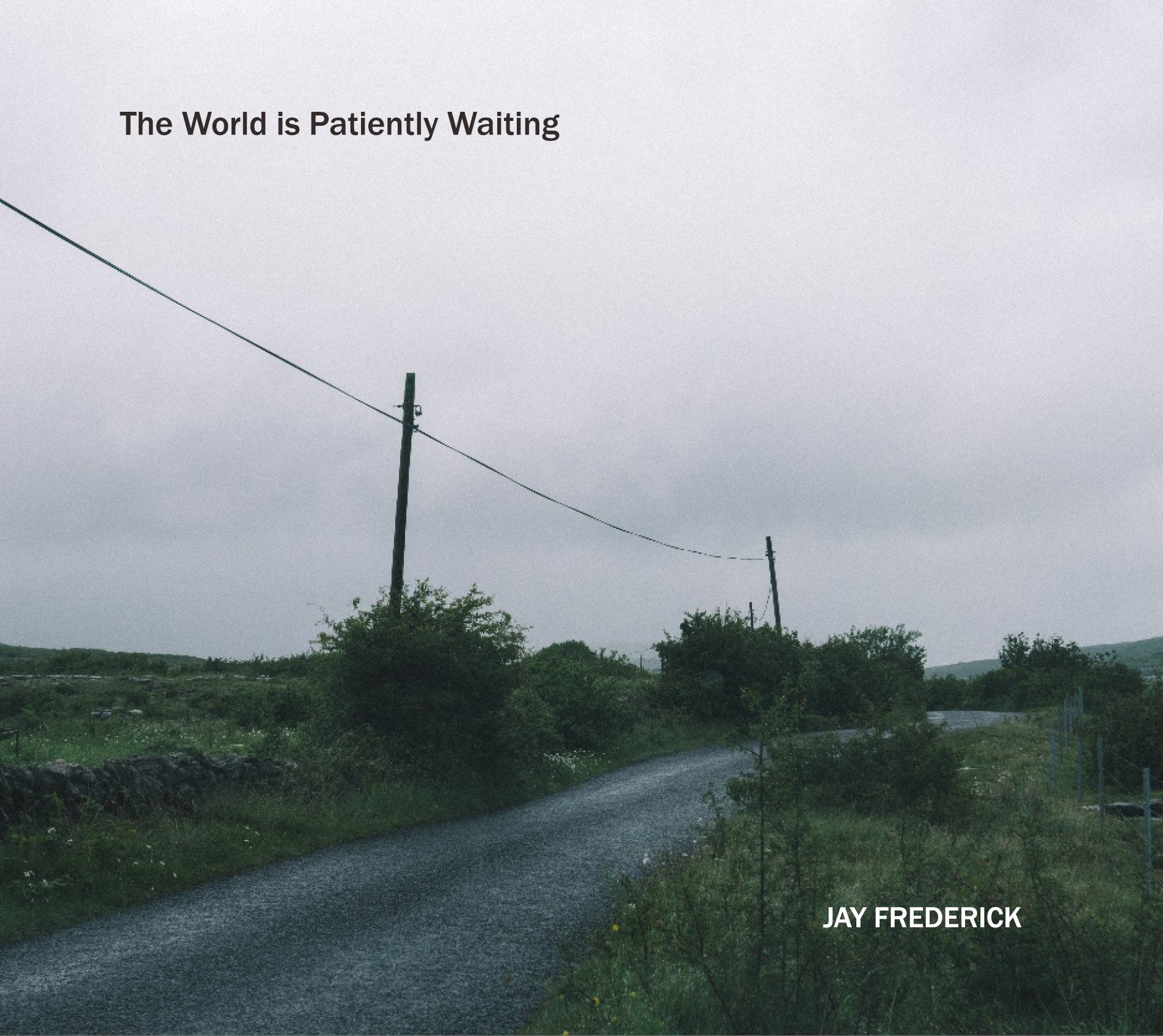 THE WORLD IS PATIENTLY WAITING COVER.jpeg