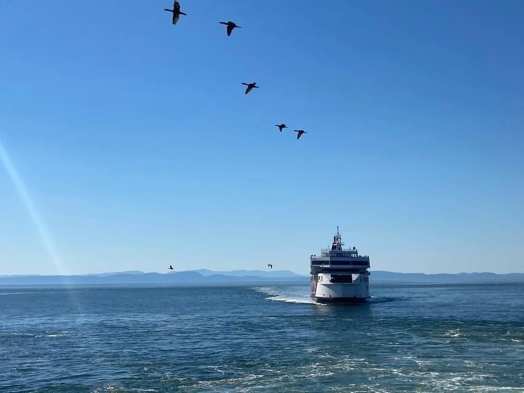 Salt Spring Island Vancouver Island Ferry – PUZNM