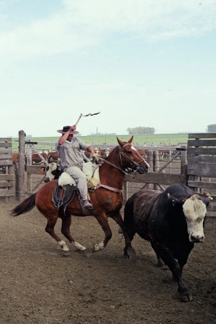 Caldenes, Argentina - The Chase, 2023, Analog prohotography, printed on Fuji Crystal Archival DPII Gloss, mounted on aluminium, non-reflective glass, edition of 20, print: 34.6 x 52 cm, framed: 68 x 51 cm                  