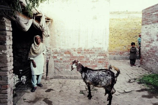 Paksitan, Punjab - Life within the Walls, 2025, Analog prohotography, printed on Fuji Crystal Archival DPII Gloss, mounted on aluminium, non-reflective glass, edition of 5, print: 112.2 x 76 cm, framed: 113.8 x 77.6 cm