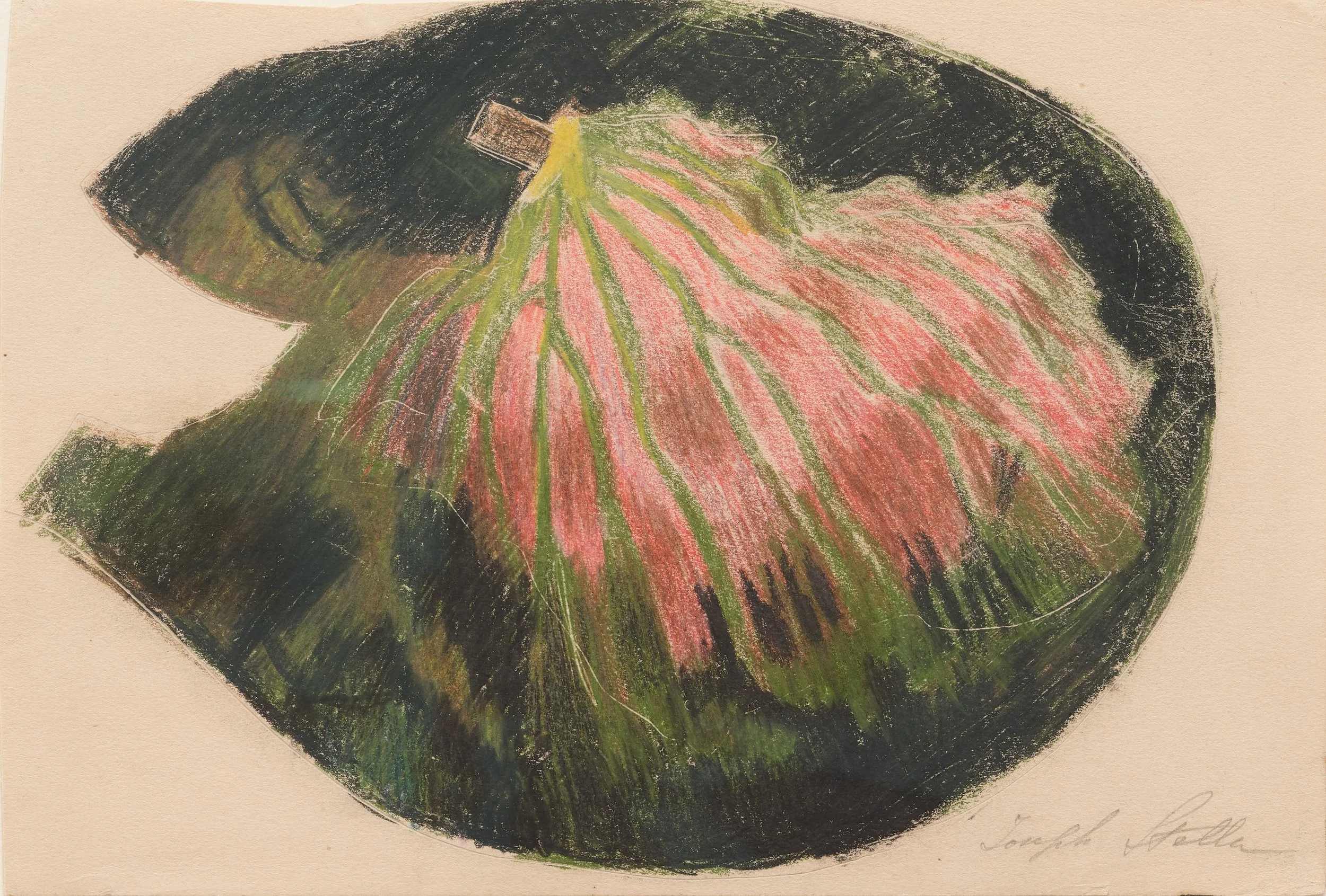 Joseph Stella, Tropical Foliage Study, 1919. Signed in pencil, lower right recto, colour crayons on cream wove paper,16.5 x 24.5 cm

