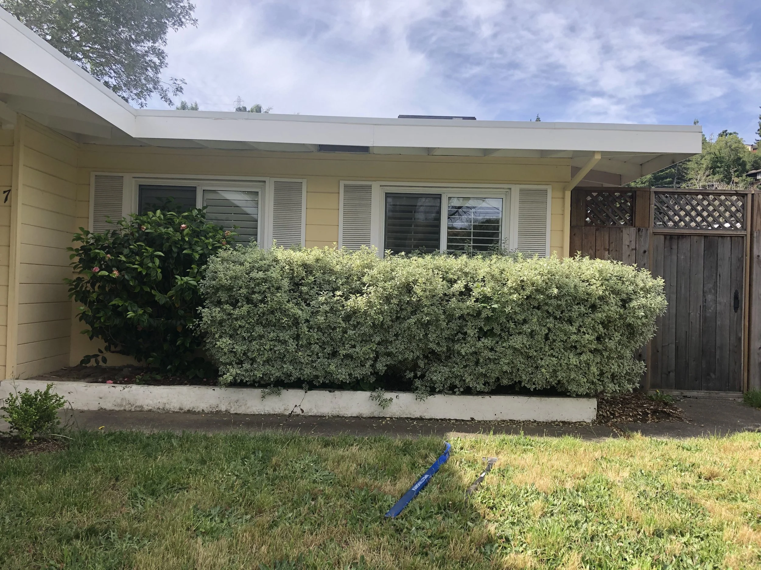 Yellow Casita Before.jpeg