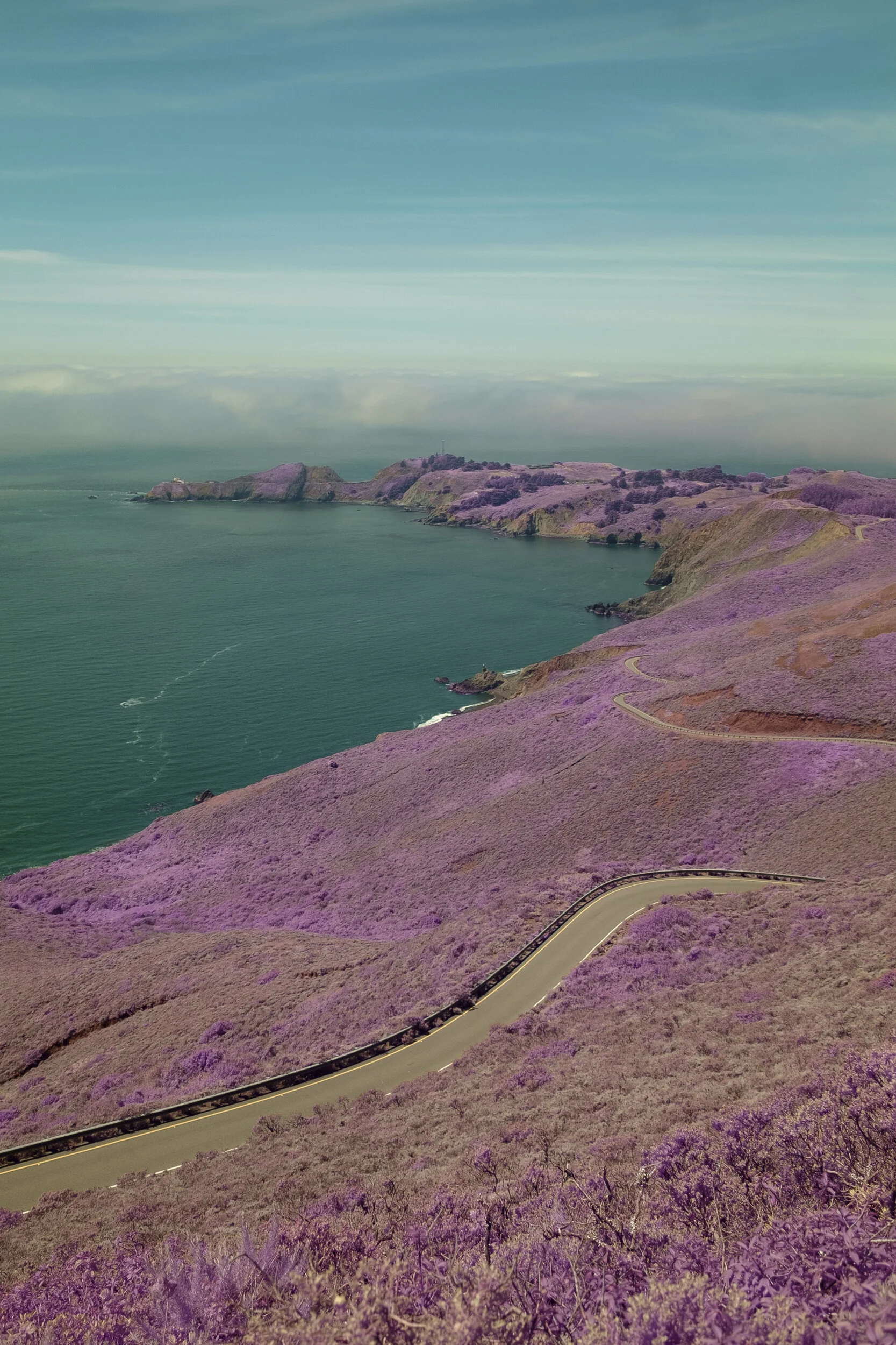 Color_Infrared_Marin_Headlands_Lucas_Saugen.jpg