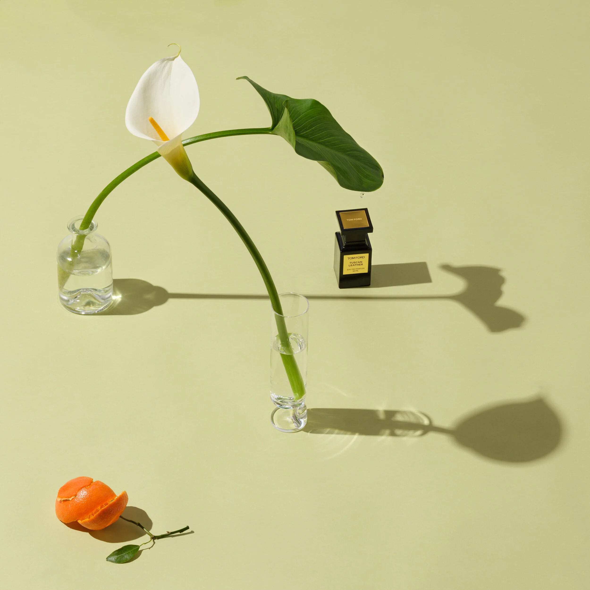 Still Life with Mat Gibilisco