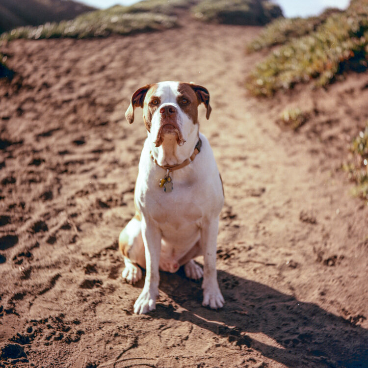 Funston007.jpg