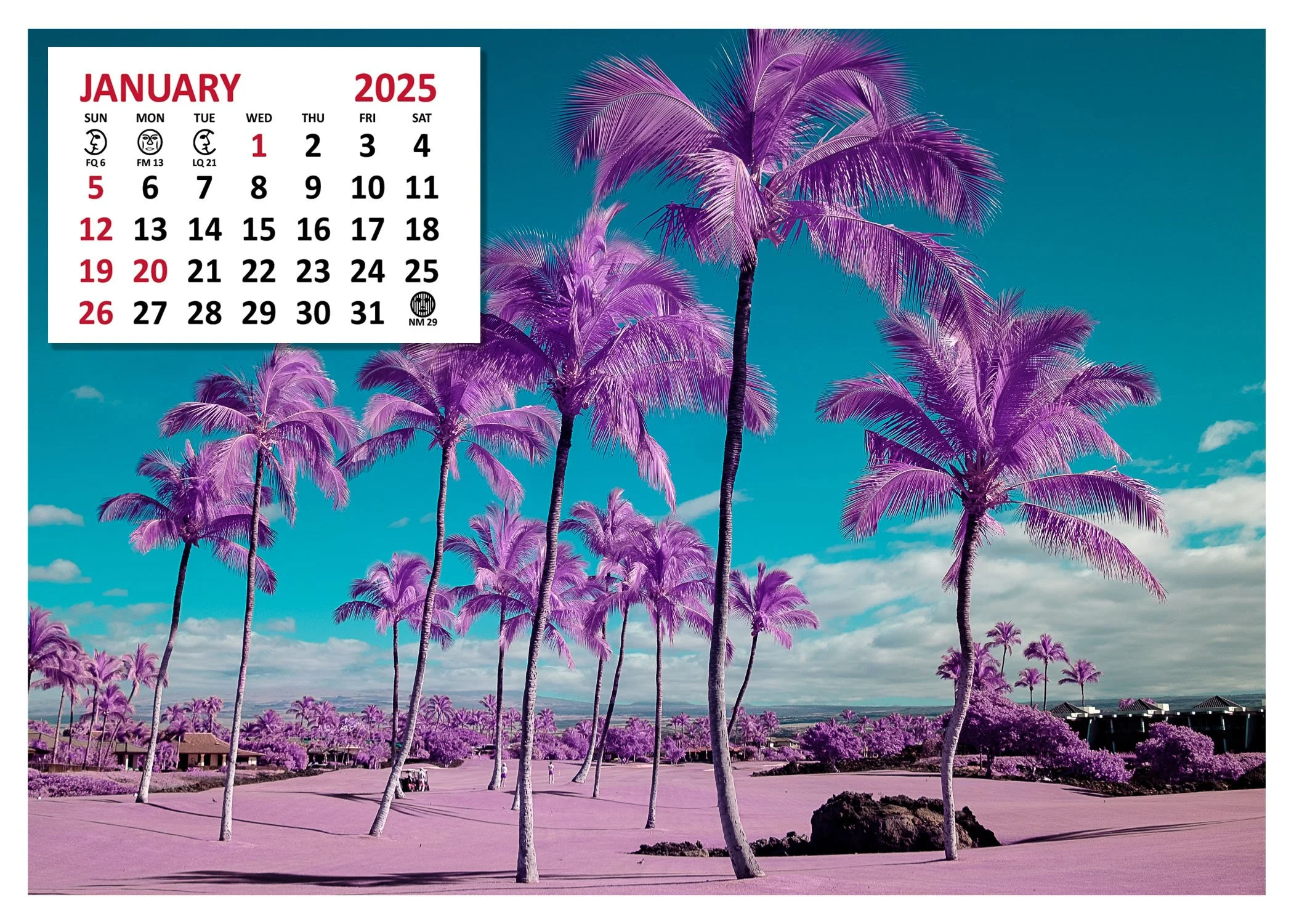 2025 Calendar Giveaway
