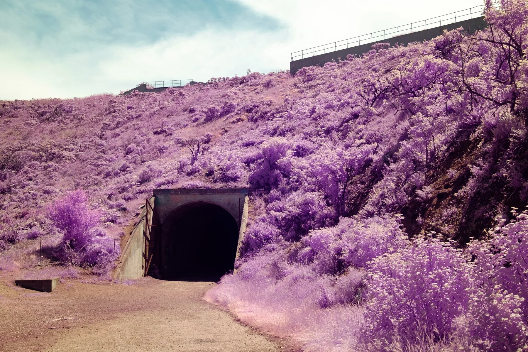 Color_Infrared_Tunel_San_Francisco_Lucas_Saugen.jpg