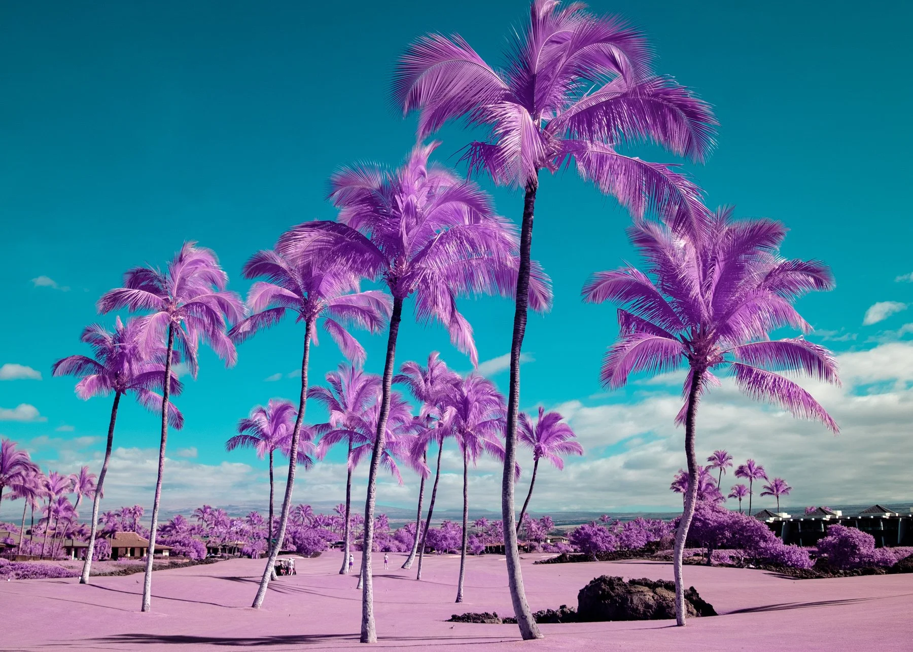 Color_Infrared_Golf_Course_Lucas_Saugen.jpg