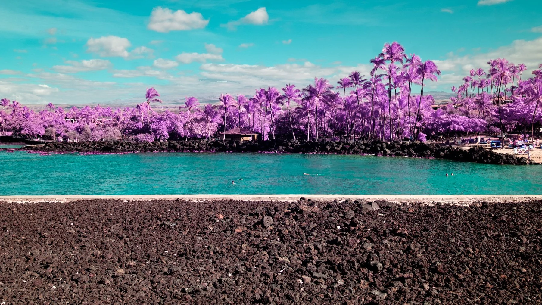 Color_Infrared_Beach_Hotel_Hawaii_Lucas_Saugen.jpg