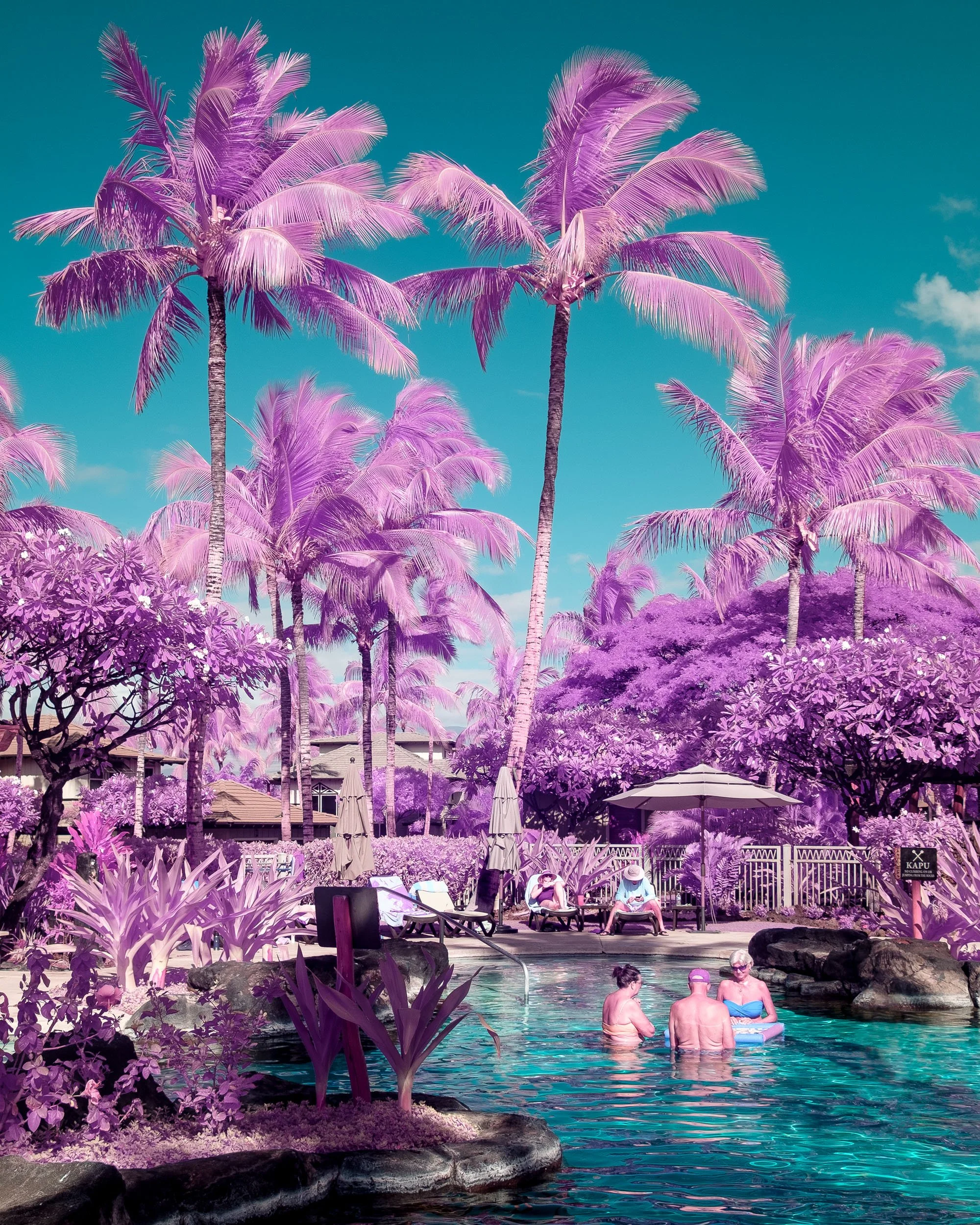 Color_Infrared_Vacation_Hawaii_Lucas_Saugen.jpg